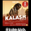 Soirée en boite pour le show de Kalash