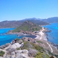 Discussions pour organiser des sorties par le biais de WhatsApp 