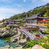 Voyageuse solo cherche copin(e) de voyage 