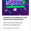 ?Carnaval de bordeaux?