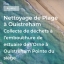 Nettoyage de plage à Ouistreham 