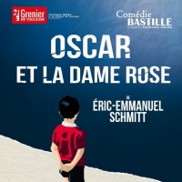 Sortie théâtre oscar et la dame rose 
