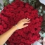 princesse-1