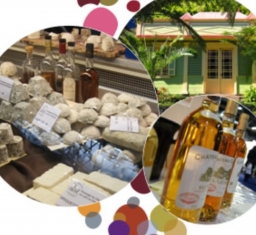 Screenshot_20230115_175124_Samsung Internet