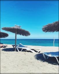 A82F76F7-AB0D-434D-9ABC-78DBF084F655.jpeg