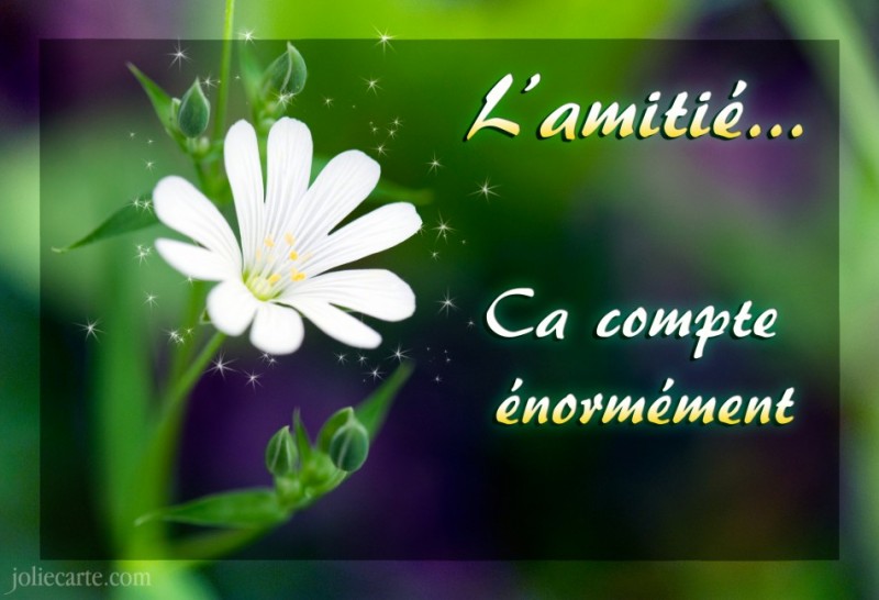 L'amitié est le sel de la vie