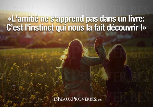 Sincerite Honnetete Empathie Humour Joie De Vivre
