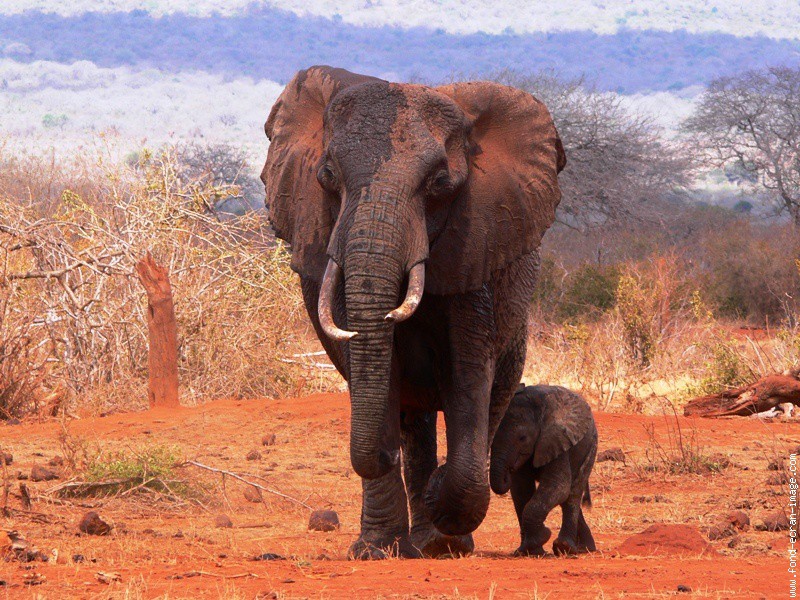 La vie ne vaut rien mais rien ne vaut la vie