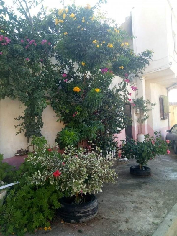 rencontre femme alger centre